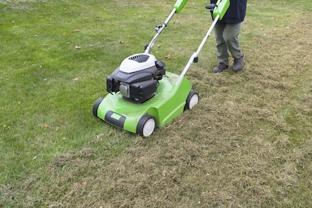 Dethatching vs. Aeration: Which One Does Your Lawn Actually Need?