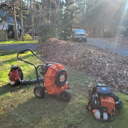 Fall Cleanup Timing in RI: When Leaf Removal Helps (and When It Hurts) Your Lawn
