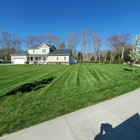 Overseeding in Rhode Island: When to Do It and How to Get Better Germination