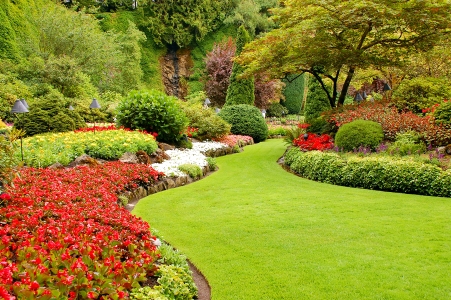 Landscape Design & Installation