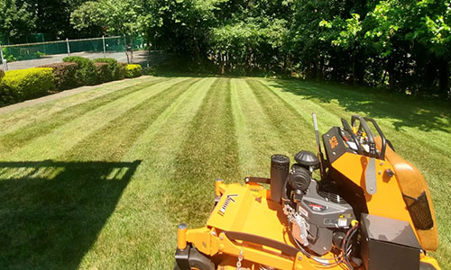 Mowing